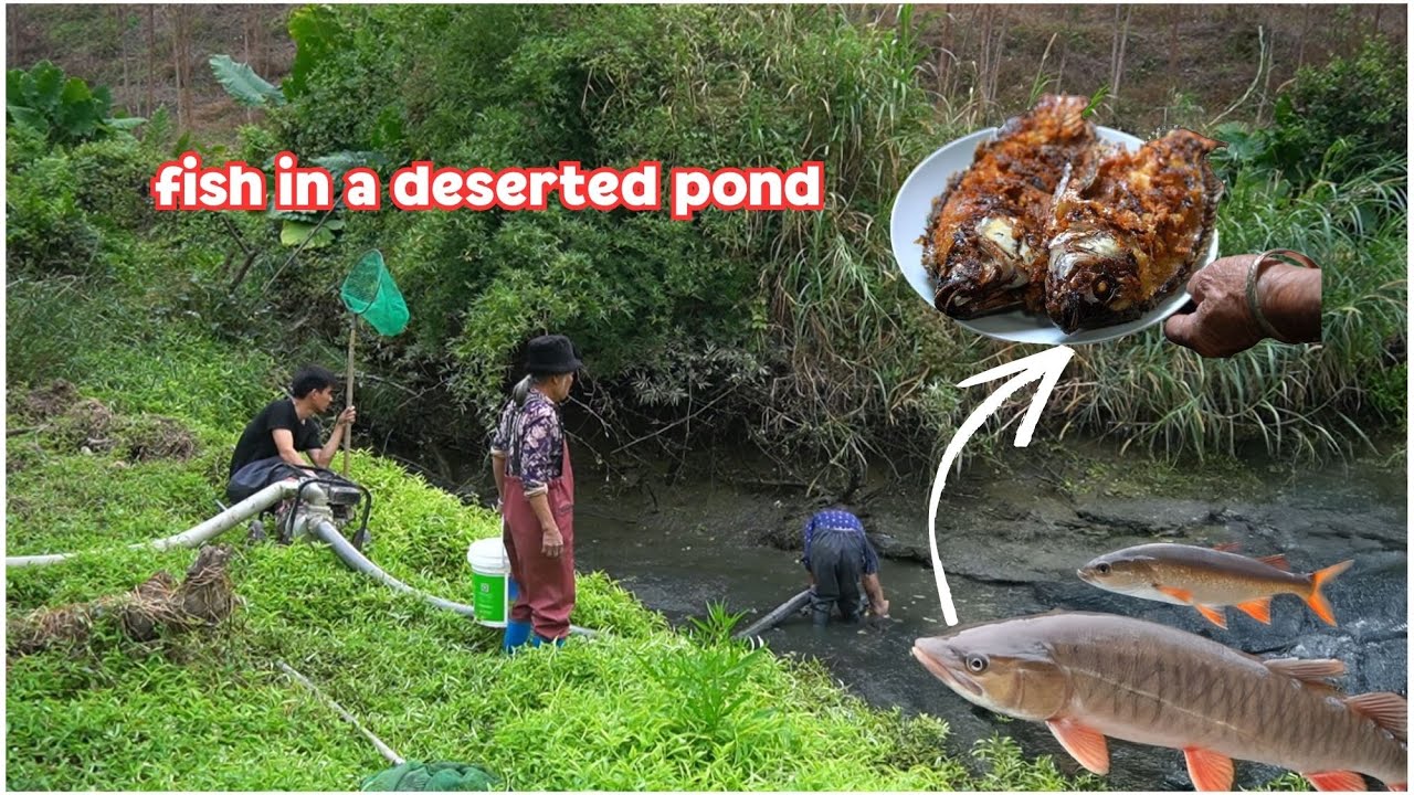 Wild Pond to Table: Epic Regional Cooking by the Creek | REVIVED Home Me