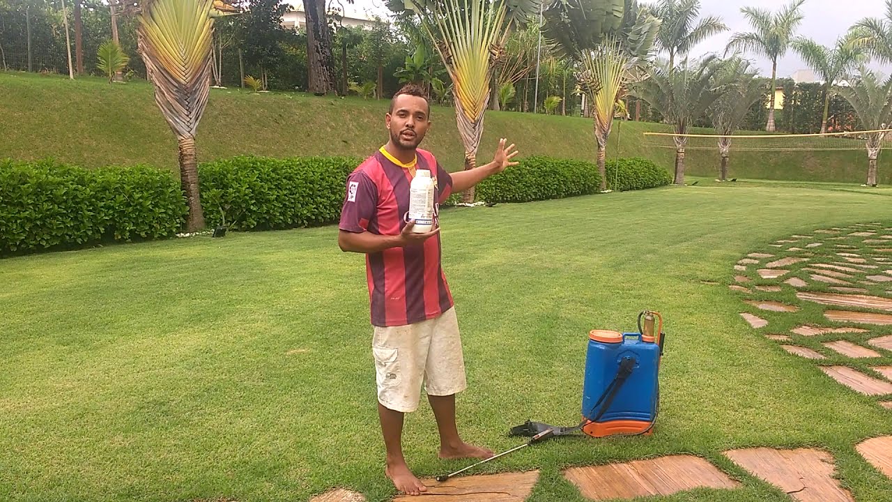 Novo jeito de matar o mato que nasce no Gramado