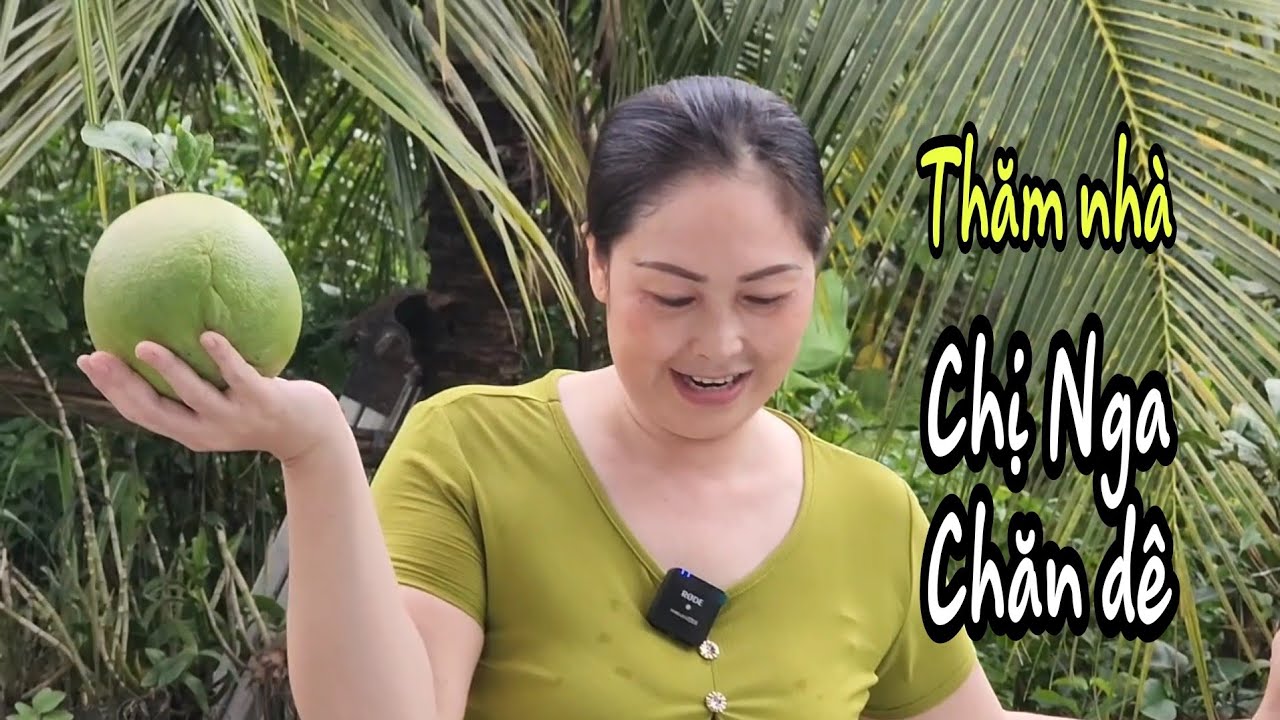 Ghi nhận thực tế. Chị Nga ( chăn dê ) Bây giờ không còn chăn dê nữa. Chị tìm mảnh ghép phù hợp.