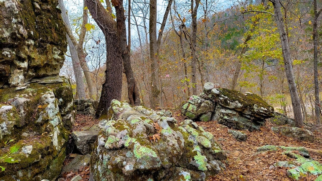 Overlook Trail at Buffalo Point | ASMR FOREST HIKE | Fall Leaves | Buffalo National River | AR 