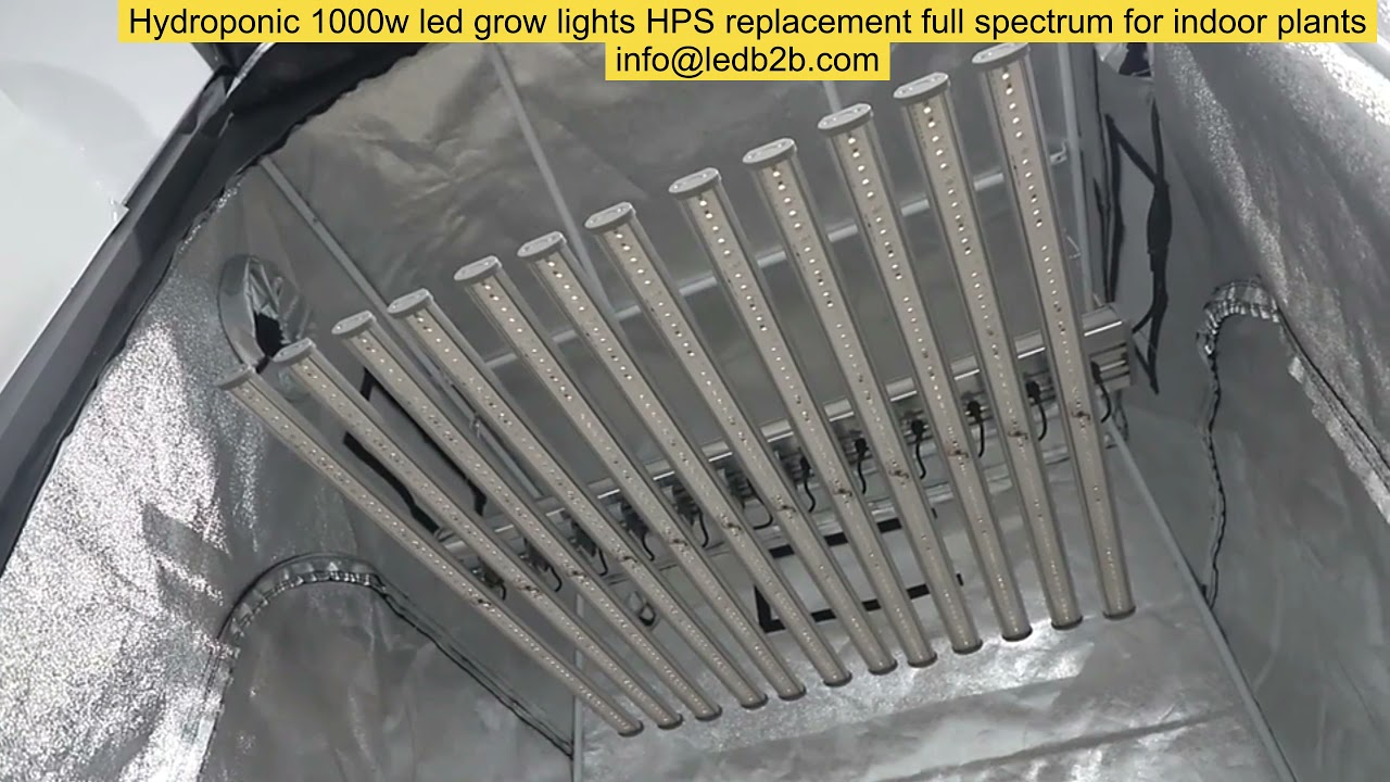 Hydroponic 1000w led grow lights HPS replacement full spectrum for indoor plants