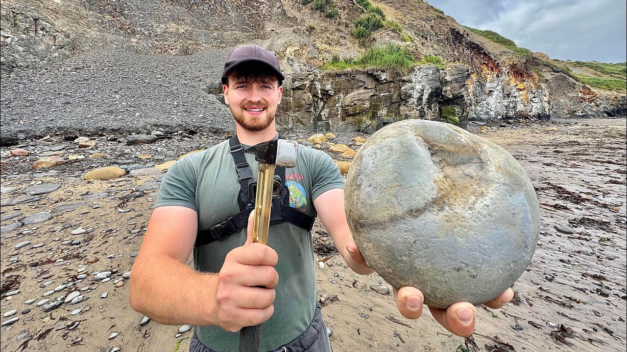 Fossil Hunting Shorts Collection 🦖 | 25 Mins of Top Videos!