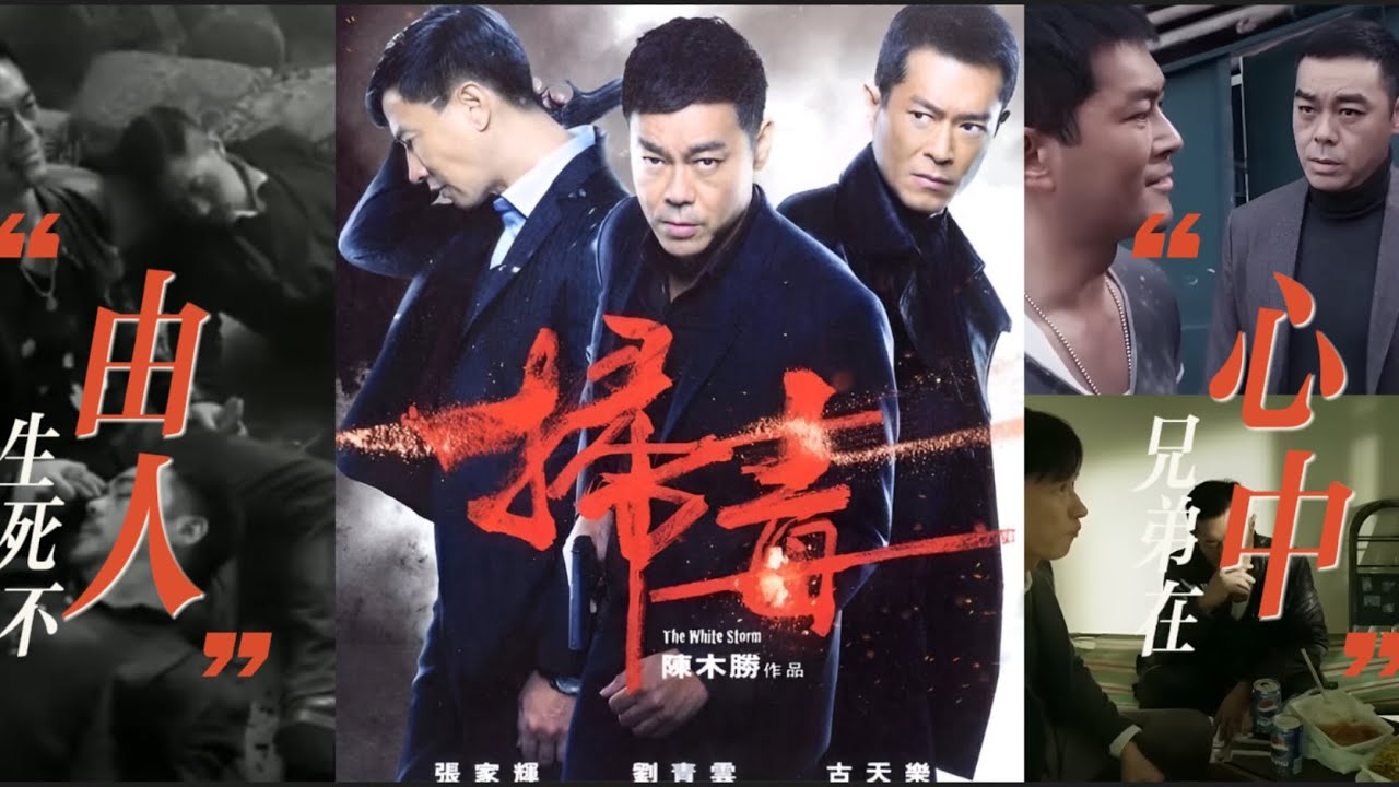 刘青云系列电影(粤语）：扫毒 The White Storm 刘青云、古天乐和张家辉领衔主演。是一部于2013年上映的香港警匪动作片由陈木胜执导，获得第33届香港电影金像奖最佳电影、最佳导演等8项提名