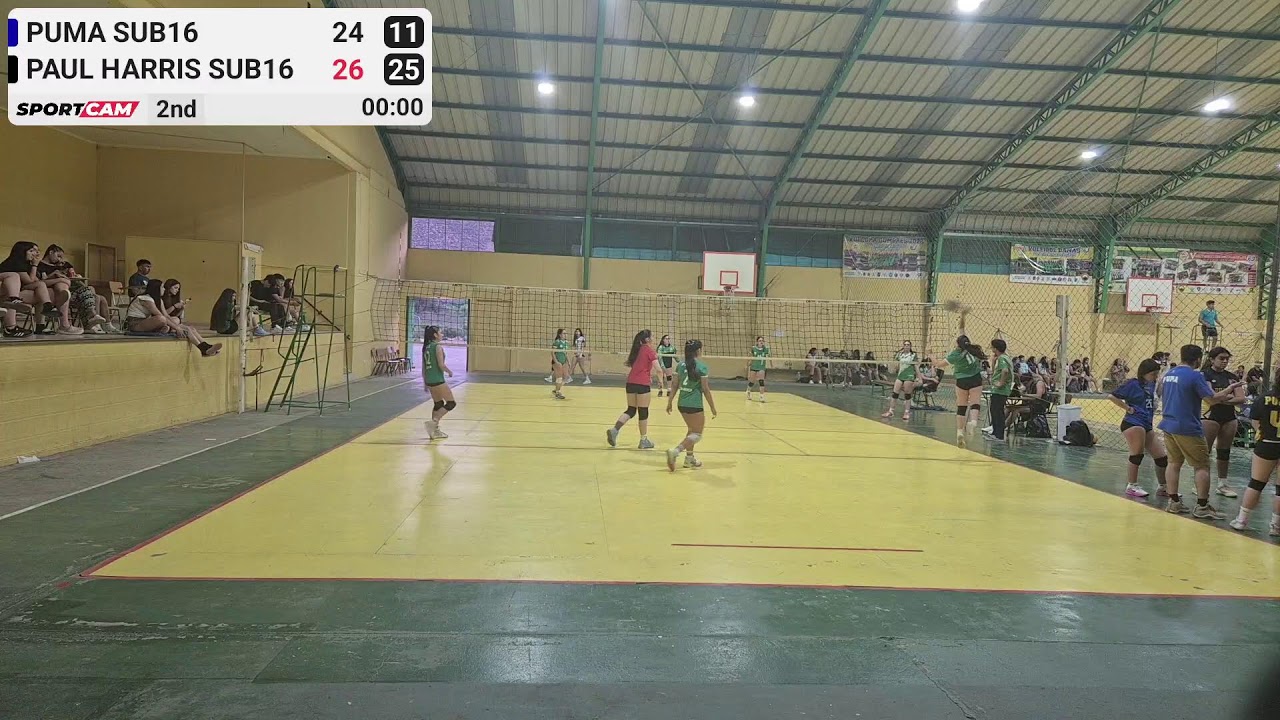 Puma Sub16 vs Paul Harris Sub16 - 15/01/2026