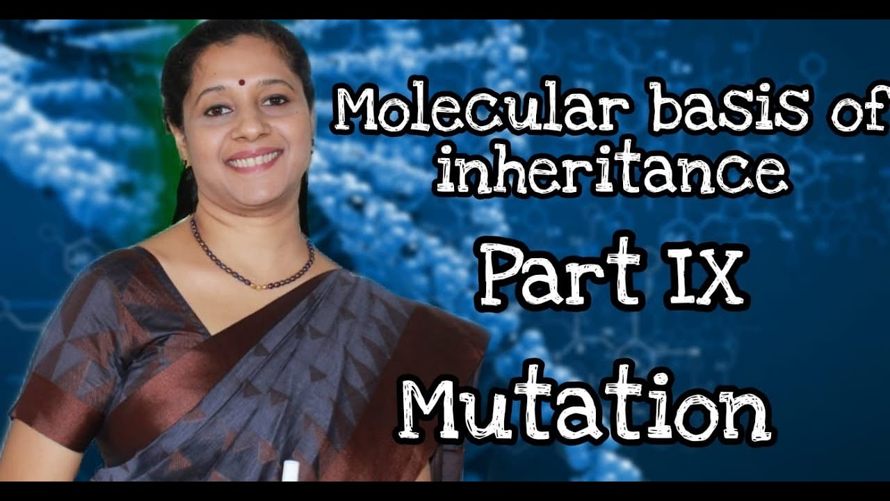 NEET : MOLECULAR BASIS OF INHERTANCE: PART IX MUTATION