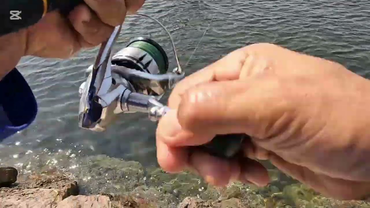 The Best  Fishing  Spot Al zorah ajman ang lalaki na nila magandang  paglaruan  happy fishing 
