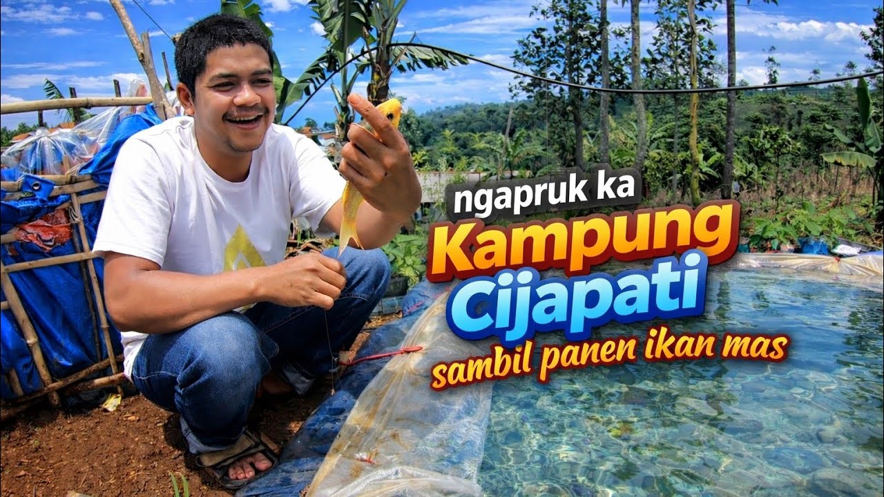 NGAPRUK ka kampung cijapati  LIBURAN murah meriah sambil ngobok ngobok kolam ikan
