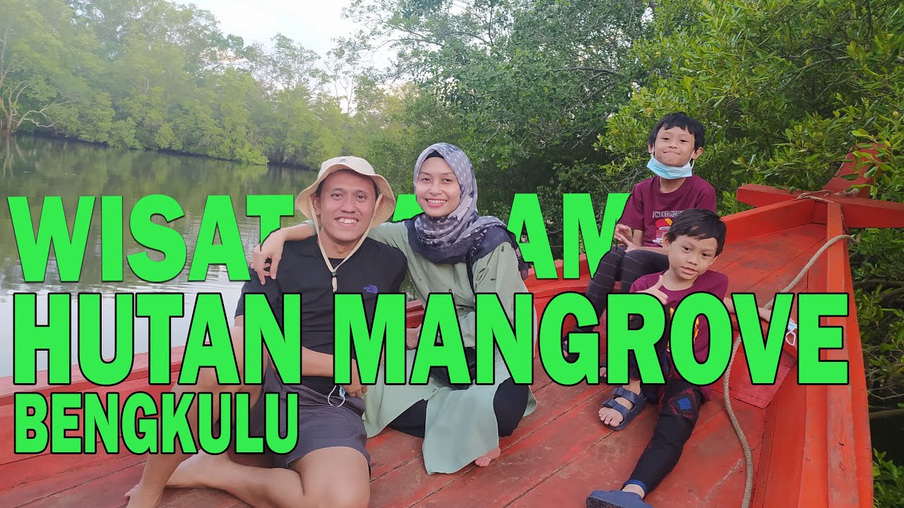 EXPLORE BENGKULU | Jelajah HUTAN MANGROVE Bengkulu