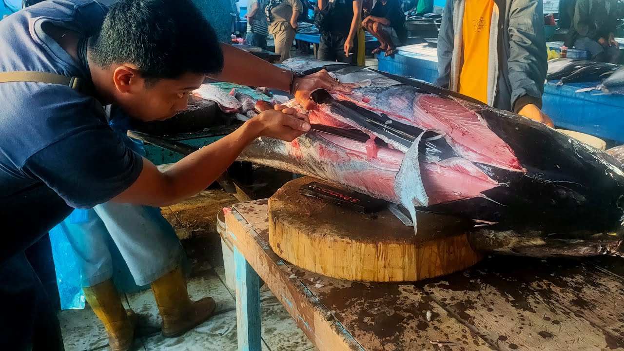 TUNA CUTTING LIVE: FROM WHOLE FISH TO PERFECT SLICES #fish #cuttingskills #food @achmadofficial2024