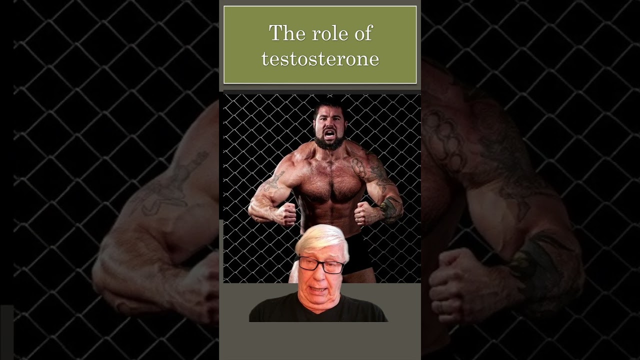 Testosterone and territoriality: two hidden drivers of masculinity