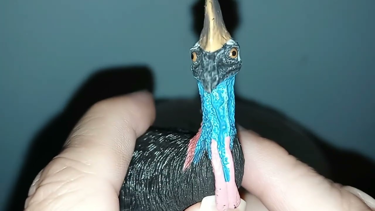 Cassowary  Toy Review