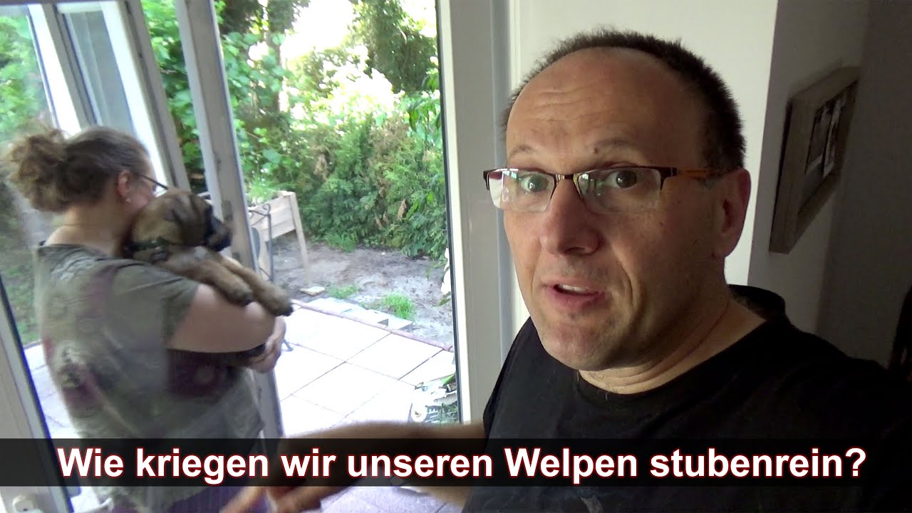 Wie kriegen wir unseren Welpen stubenrein? | Cane Corso | Deutsch | vlog 15