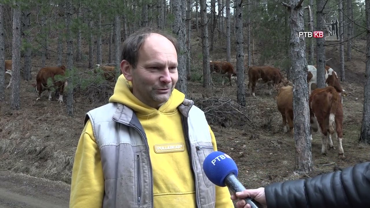 Prilog   RTVKV   Na kraju sela zive Rogici