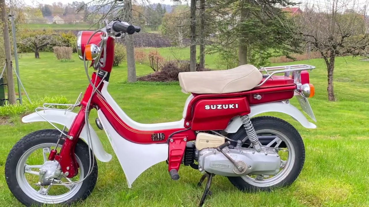 «Suzuki»fz50»