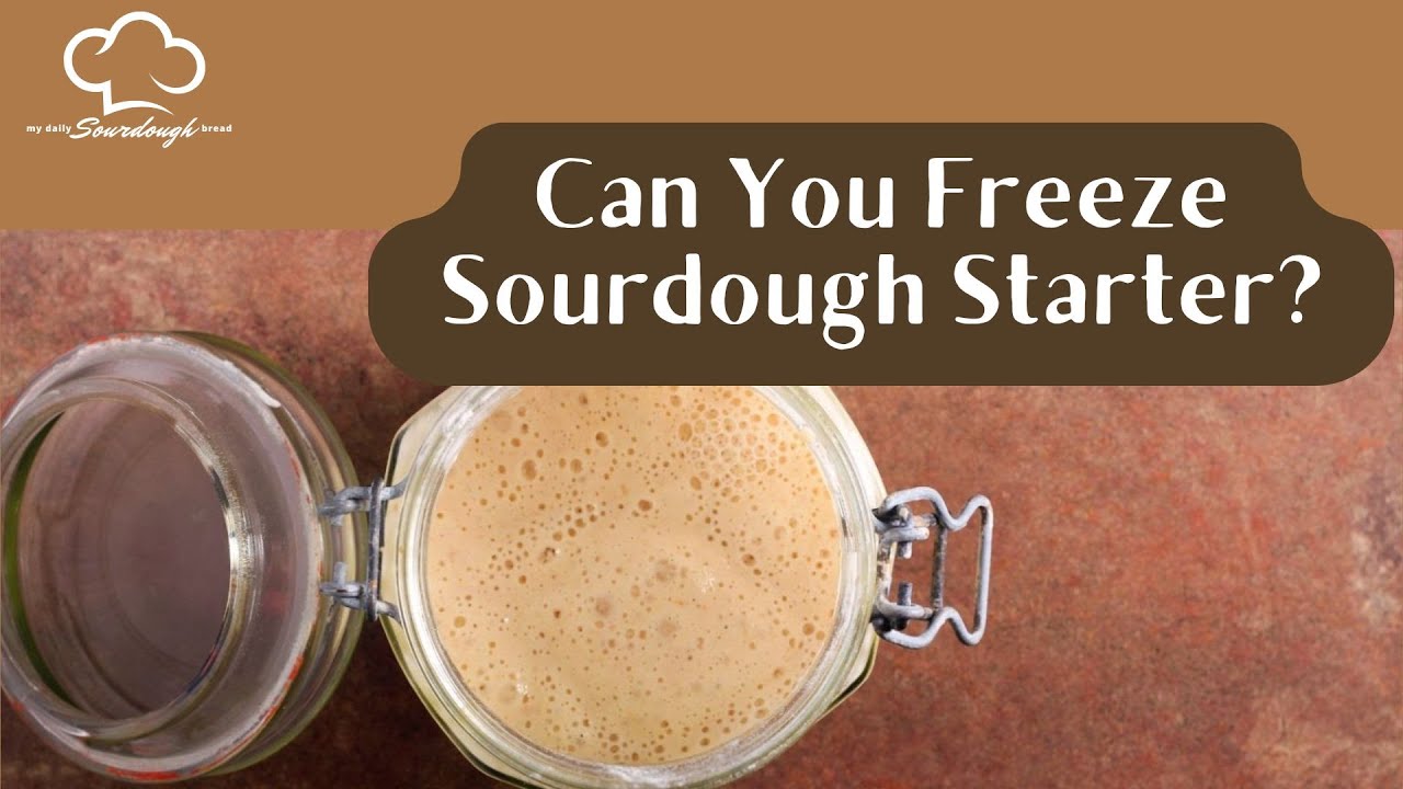 Can You Freeze Sourdough Starter? | Simple Guide to Saving Starter