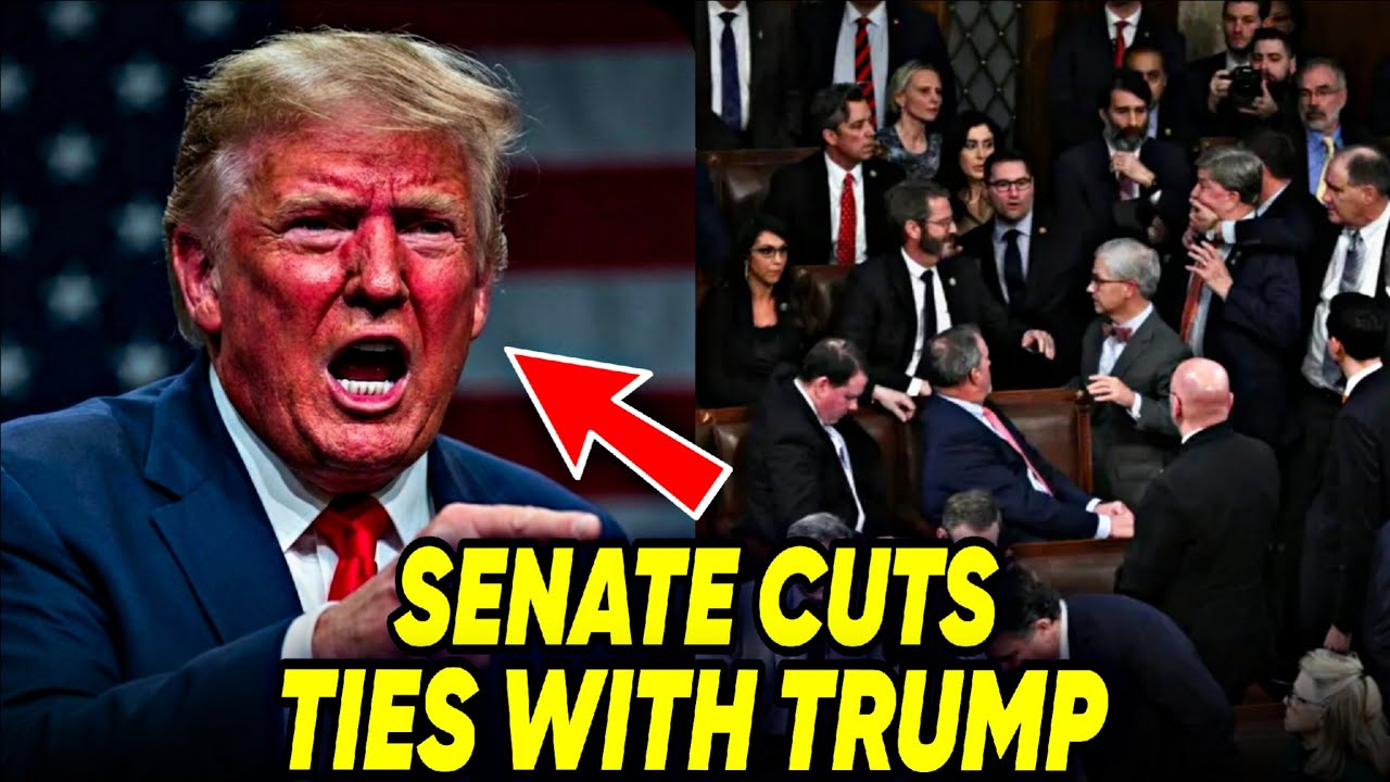 Trump FURIOUS as Senate Leaders CUT TIES WITH HIM