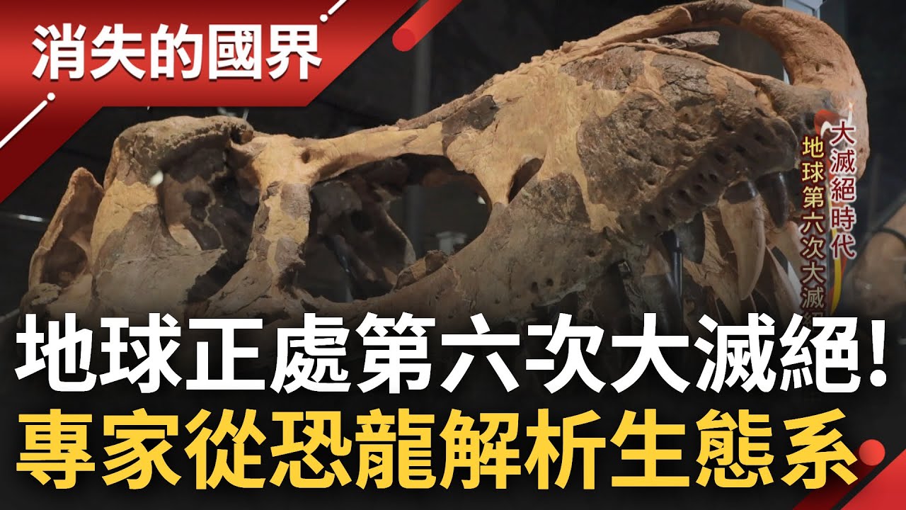 地球第六次大滅絕發生中! 科學家