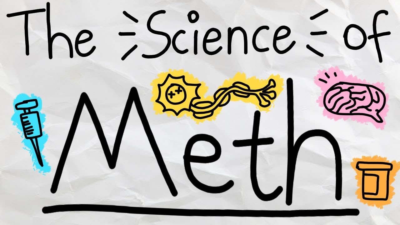 The Effect of Methamphetamine (Meth) on the Brain