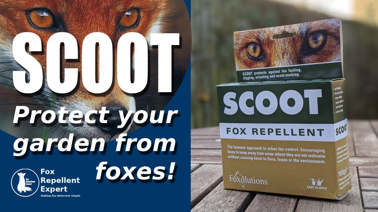 Scoot Fox Repellent - Trick foxes into staying away from your garden!