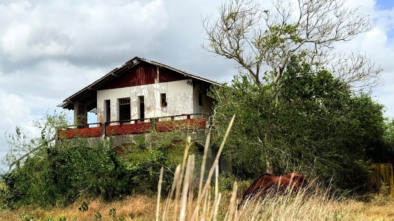 Um lindo casarão abandonado