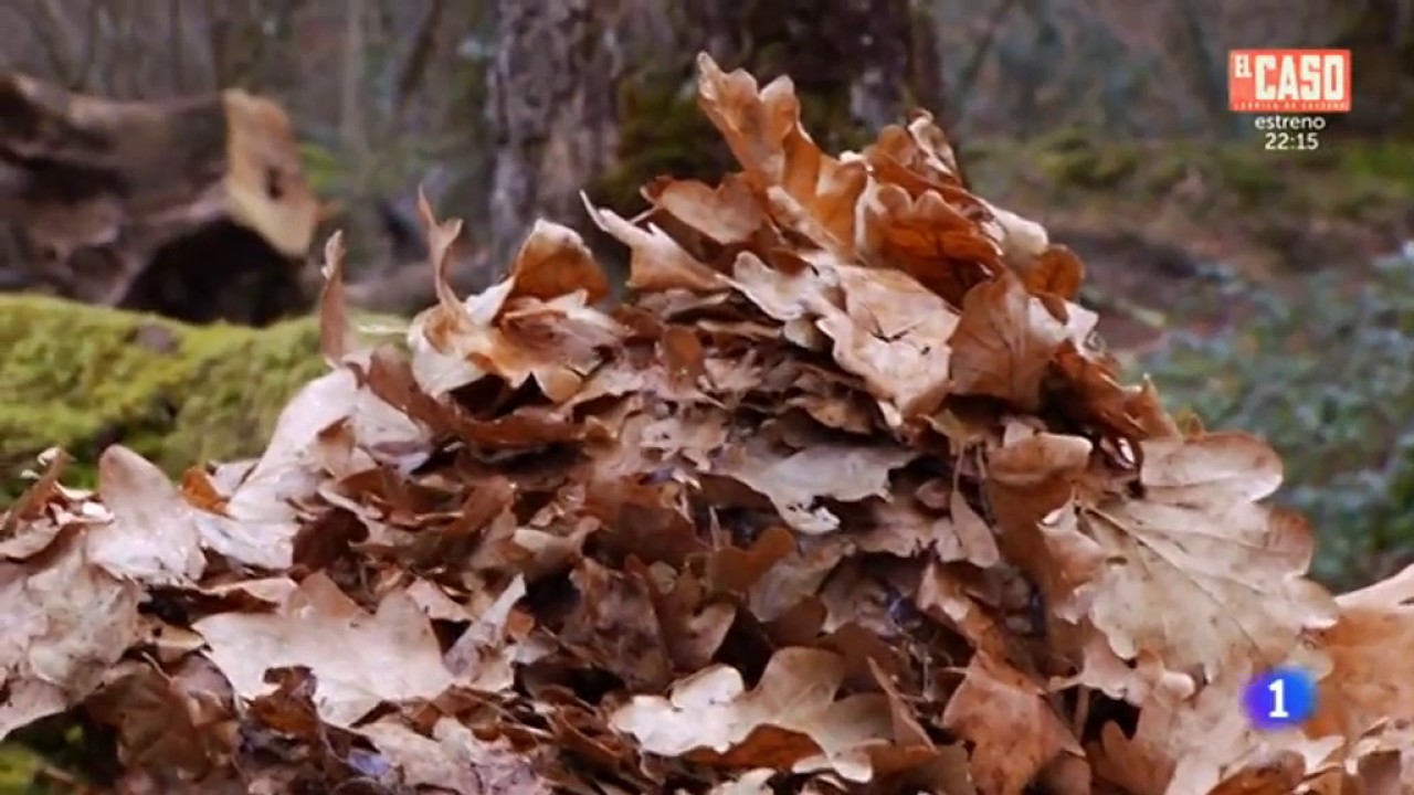 aquí la tierra martes 29 03 2016