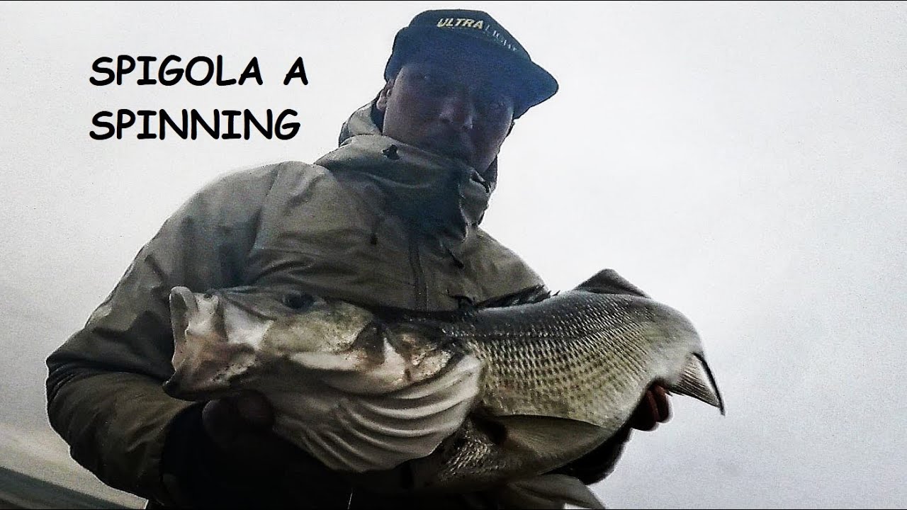 BELLA SPIGOLA  A SPINNING -GLOOMIS IMX PRO 853 JWR