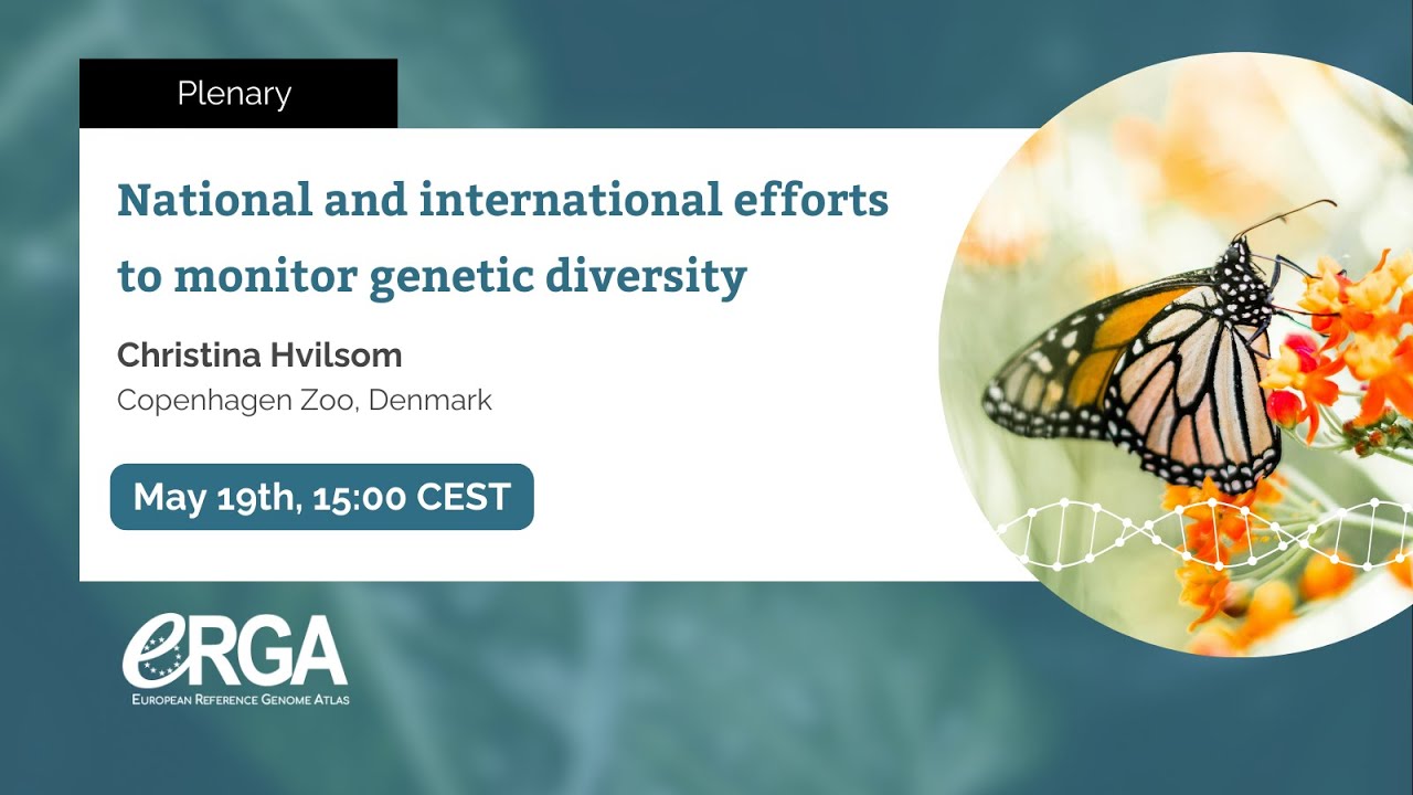 National and international efforts to monitor genetic diversity (Christina Hvilsom) - May 2025