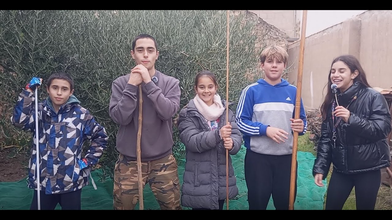 Cogiendo aceituna