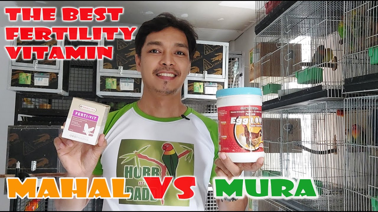 THE BEST VITAMIN SA PAGPAPARAMI NG IBON
