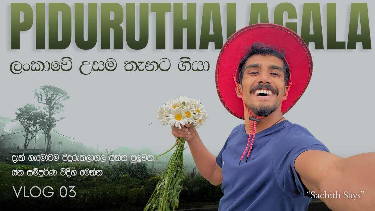 හැමෝටම දැන් පිදුරුතලාගල යන්න පුලුවන් | ලංකාවේ උසම කන්ද - පිදුරුතලාගල #travelvlog