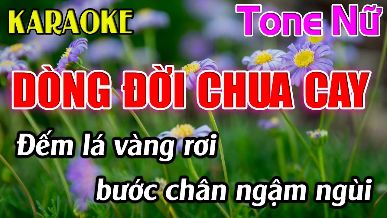 Dòng Đời Chua Cay Karaoke Tone Nữ Karaoke Dễ Hát  - Beat Mới