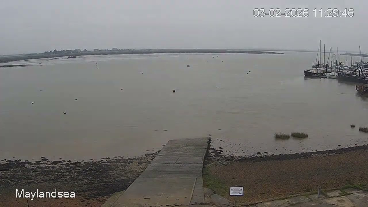 Weather & Tides - Maylandsea - Tuesday 03 February
