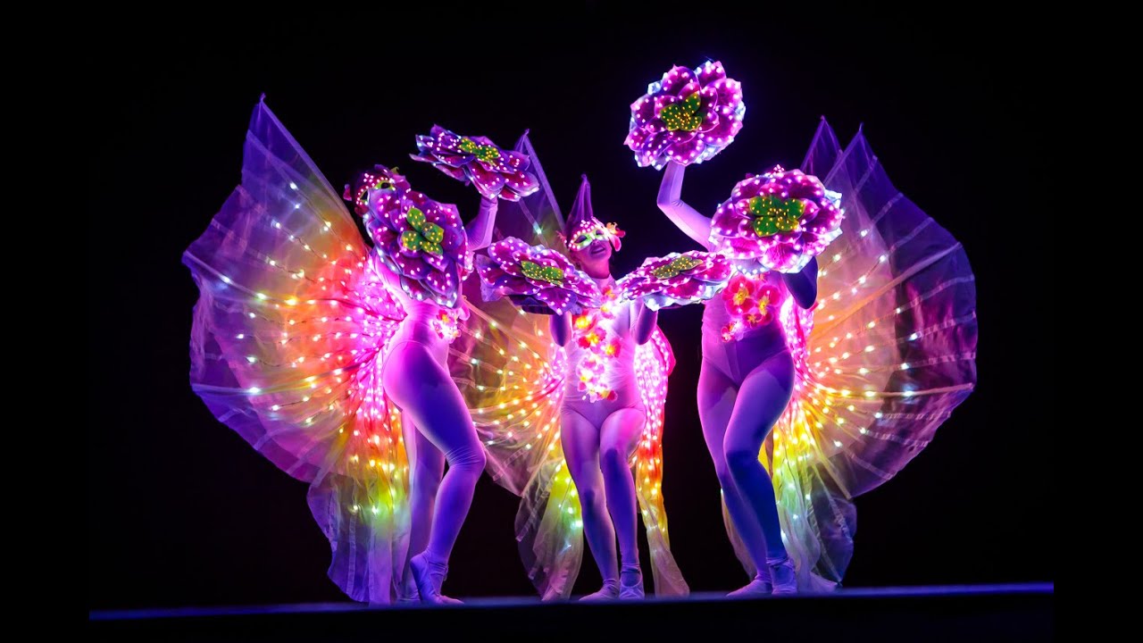 Lightshow LED dance 