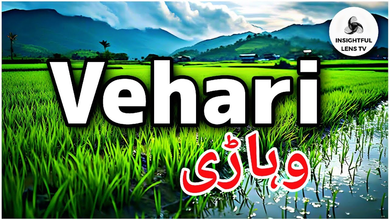 Vehari City Punjab Pakistan | History & Documentary | Explained | InsightFulLensTv
