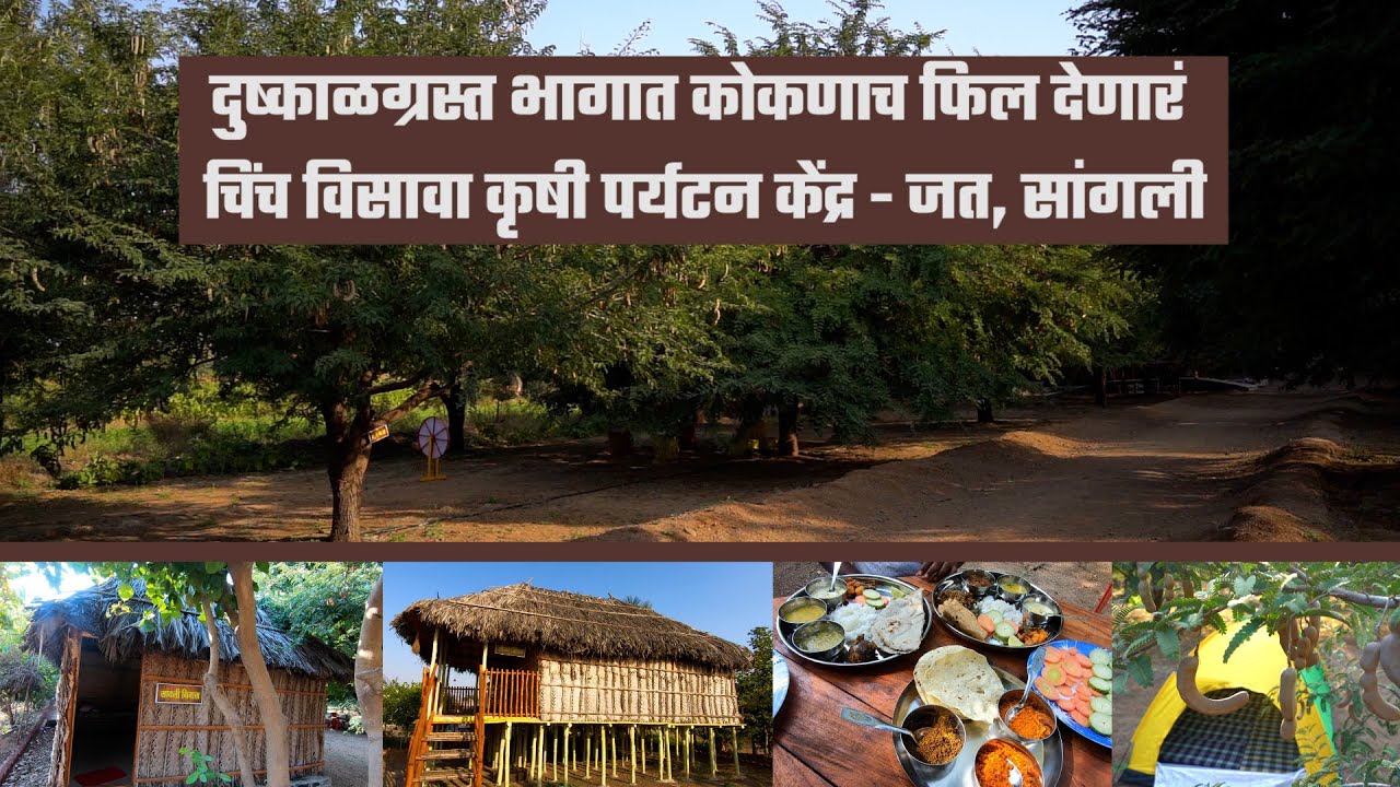 दुष्काळग्रस्त भागात कोकणच फिल -  चिंच विसावा कृषी पर्यटन केंद्र - जत, सांगली | Concept Agro Tourism