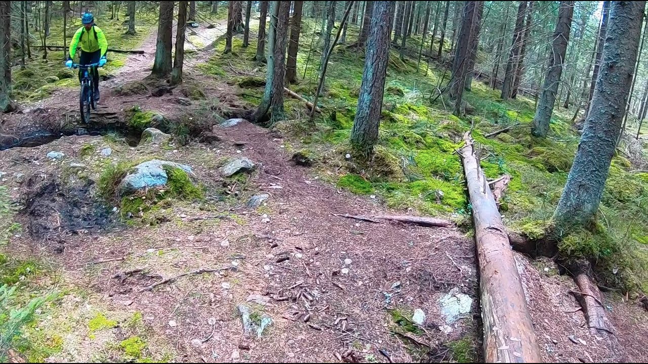 Waking up early for Pesäkallio trails.