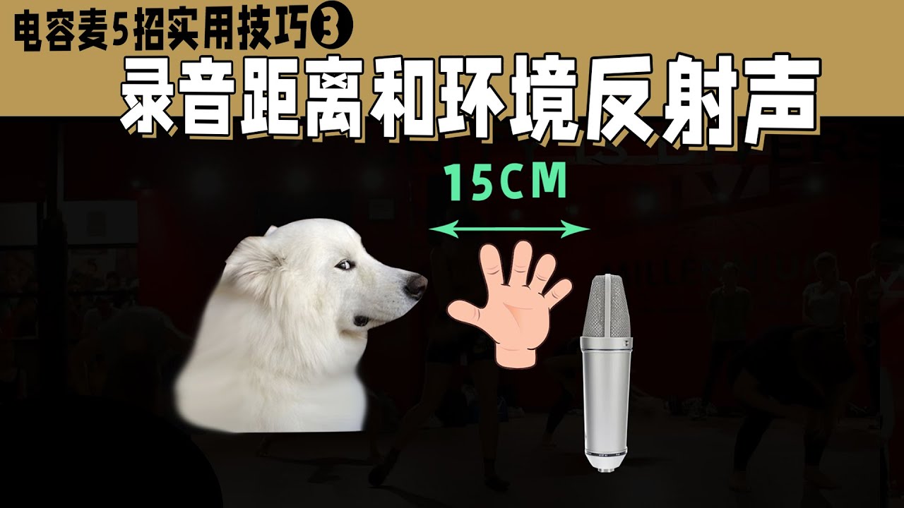 主播必看 电容麦5招实用技巧：3集 话筒的录音距离与环境反射声