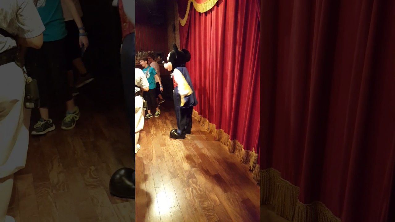 Magic Mickey - Disney World Feb 2016