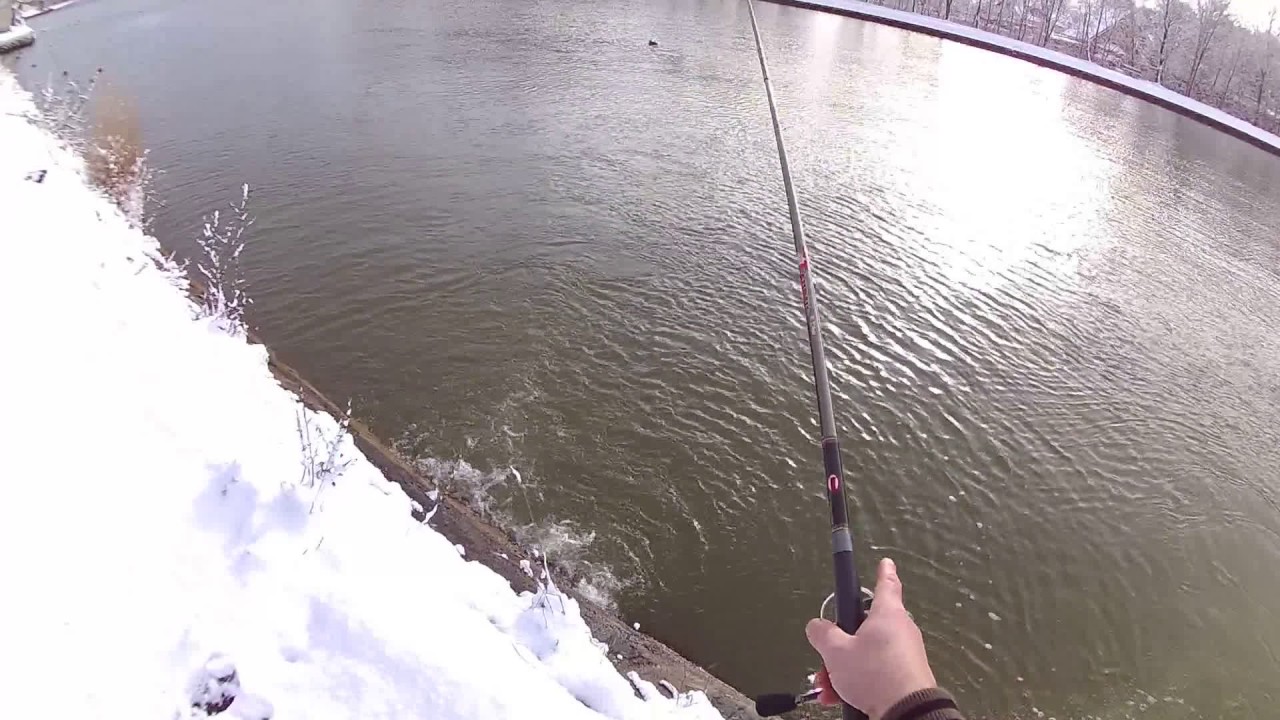 WBT-zima na sandacza z opadu  winterzander angeln