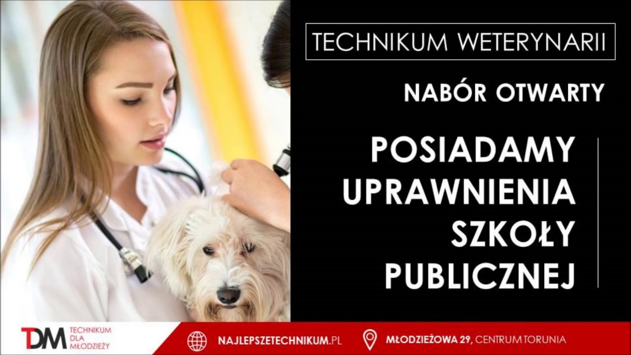 Technikum dla młodzieży Toruń