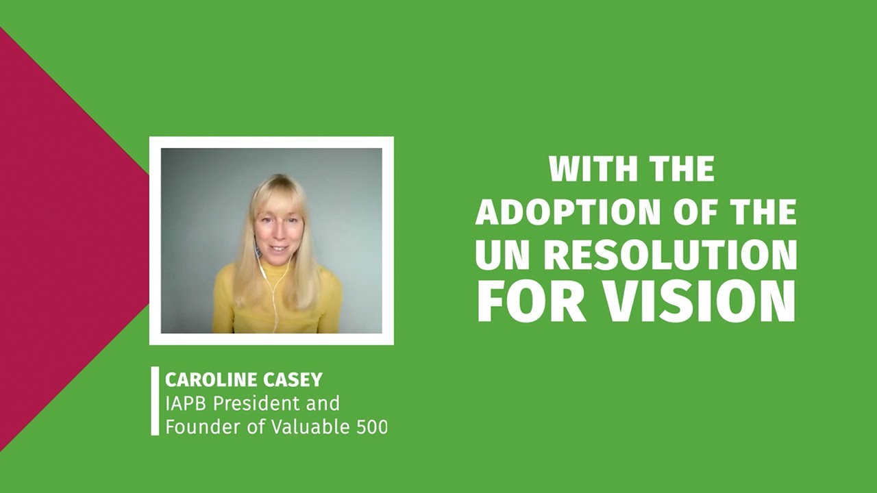 United Nations General Assembly Resolution on Vision