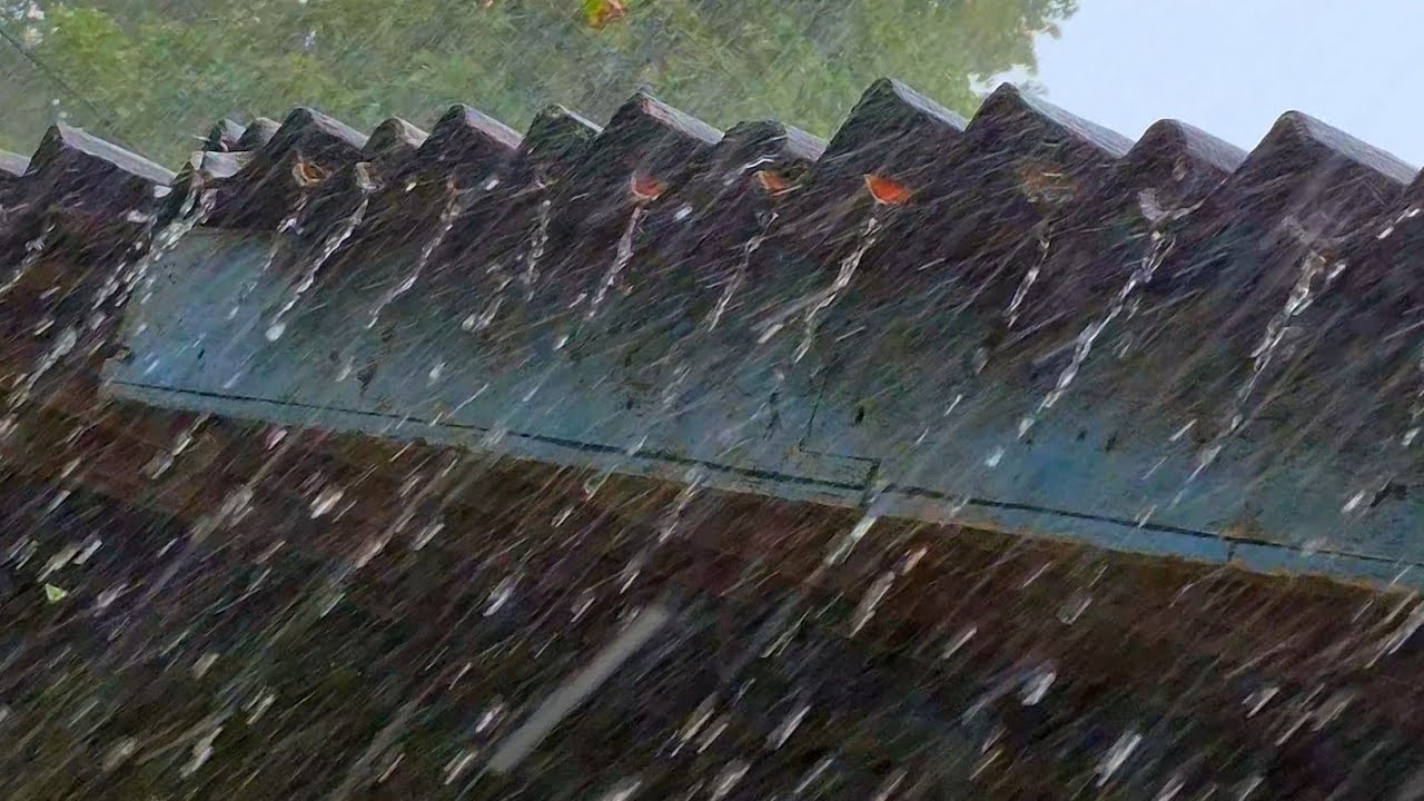 Heavy Rain Sounds 🌧️ Deep Sleep Fast | Calming Rain Ambience for Stress Relief