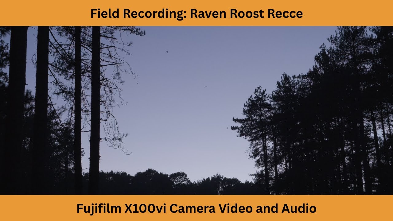 Raven Roost Recce | Fujifilm X100vi Video and Audio saves the day