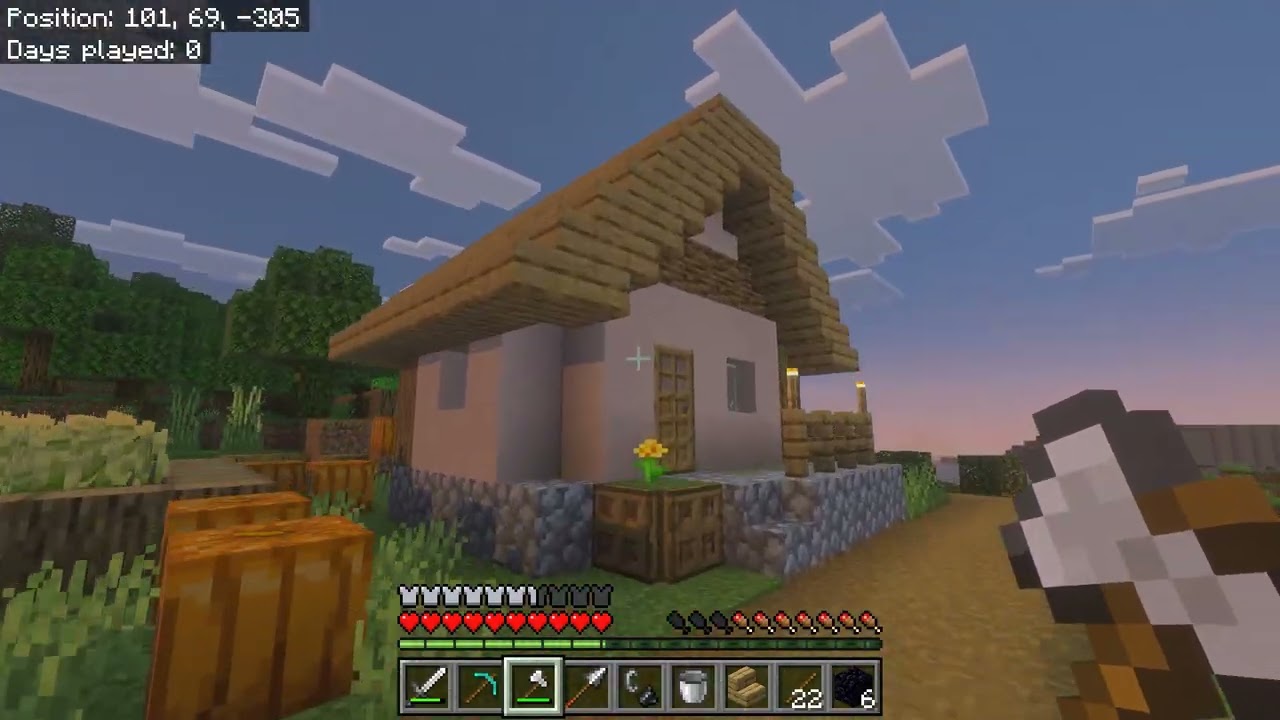 Minecraft Survival Mode