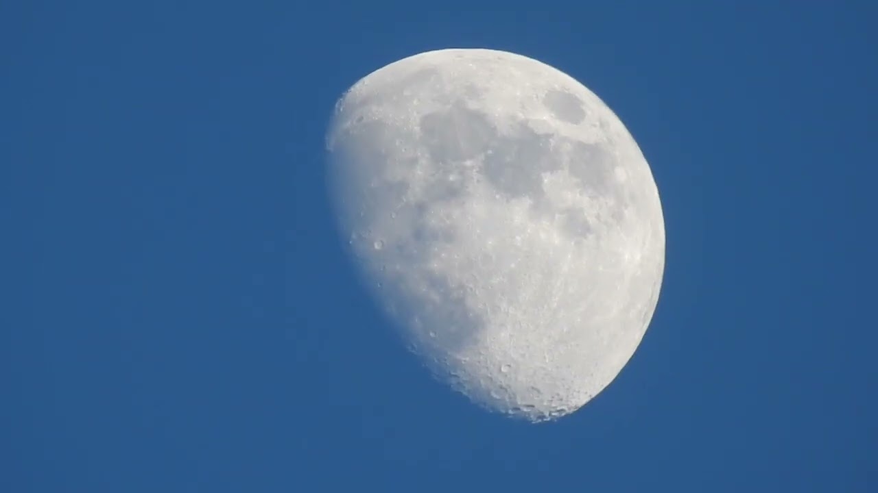 If The Moon Could Talk