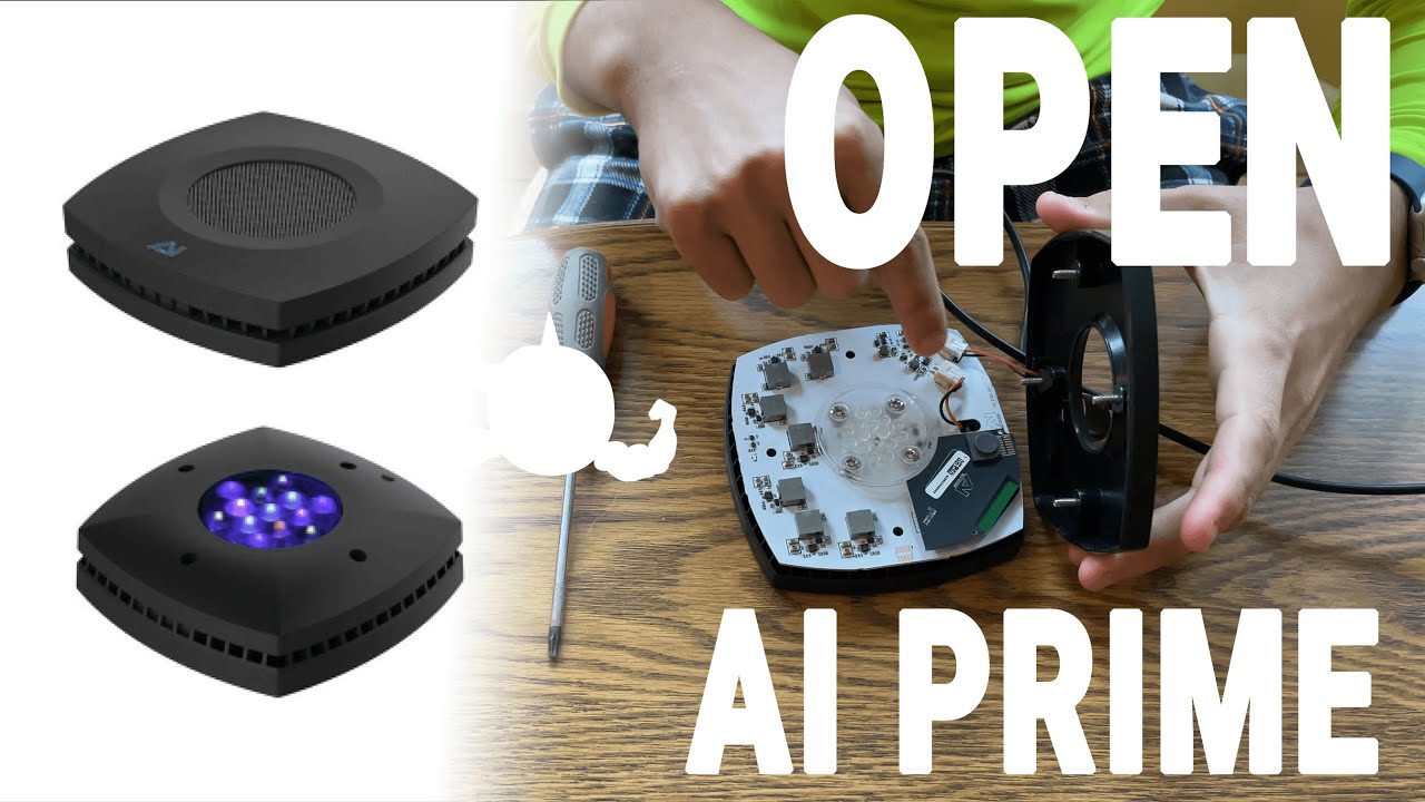 Quick Guide To Taking Apart An AI Prime - NO BS