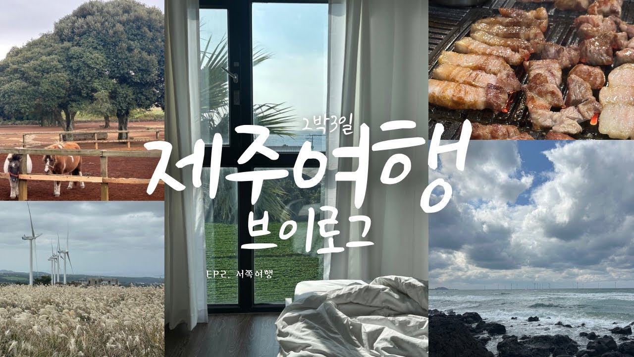 제주여행🍊 브이로그 | 2박3일 서쪽편 * 광어다, 목장카페 밭디, 어음리 억새, 카페하와, 협재고기부엌, 산지해장국, 애월한담산책로, 웨스트비치