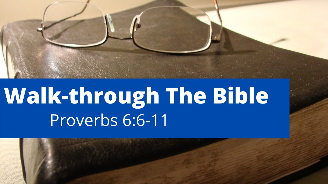 Walk-through The Bible: Proverbs 6:6-11