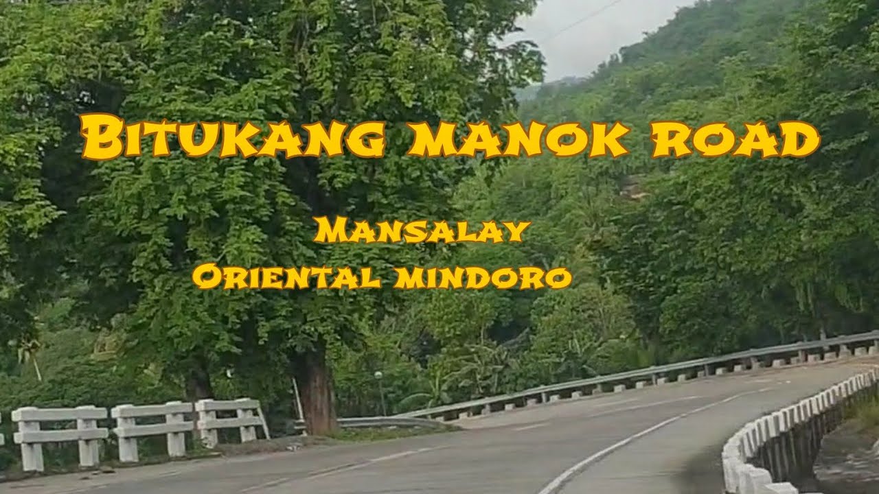 Bitukang manok road, Mansalay Oriental Mindoro 🇵🇭