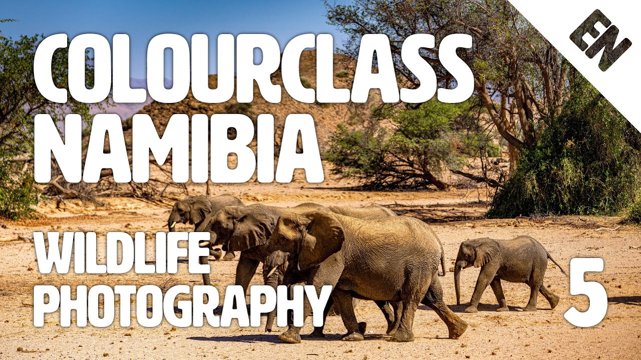 Colourclass Namibia: Episode 5&nbsp;&ndash; The Most Important Tips of Wildlife Photography